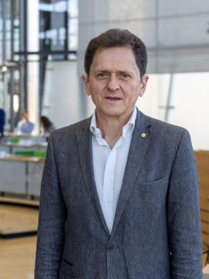 Prof. Klaus Stöhr